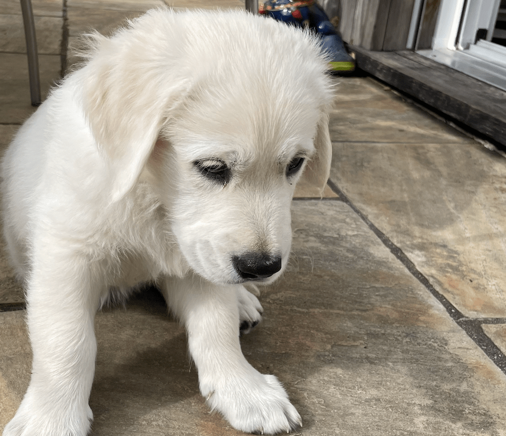 Gerade ist leider nicht&nbsp;Damenwahl!