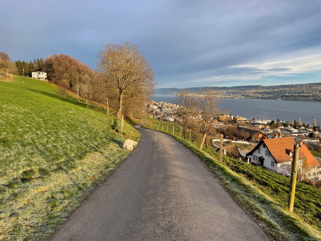Spaziergänge mit Hund in Horgen & am Zürichsee