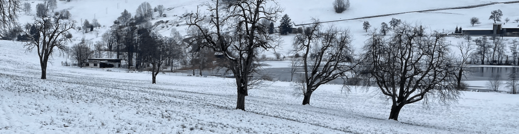 Tauwetter: über die Matschzonen des&nbsp;Lebens