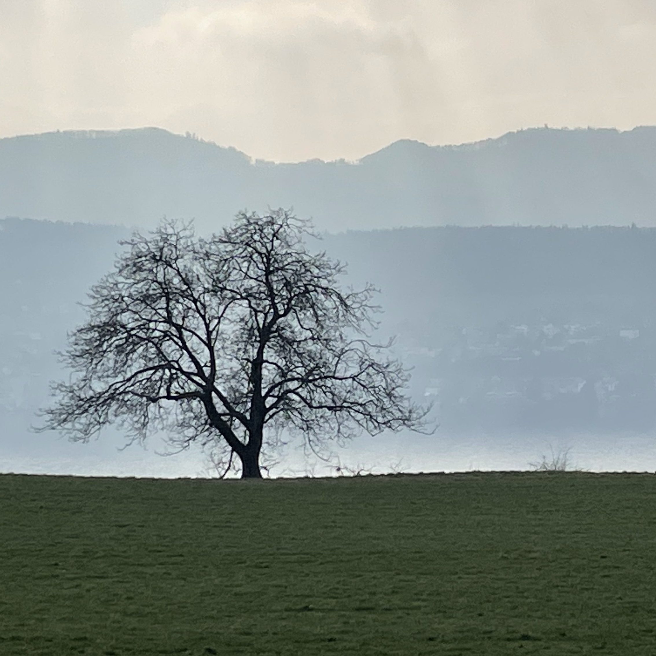 Content Creation Matters