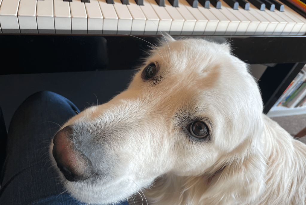 Capturing the Beast of&nbsp;Perfectionism