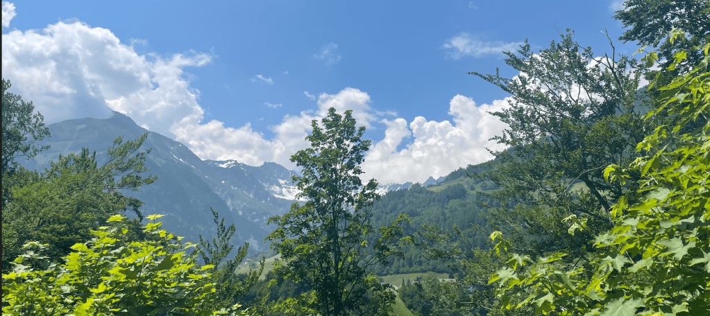 How to choose and REJECT&nbsp;wisely?