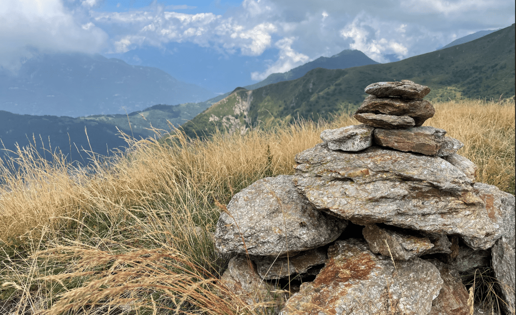 The Momentum Conundrum: How to&nbsp;Restart?