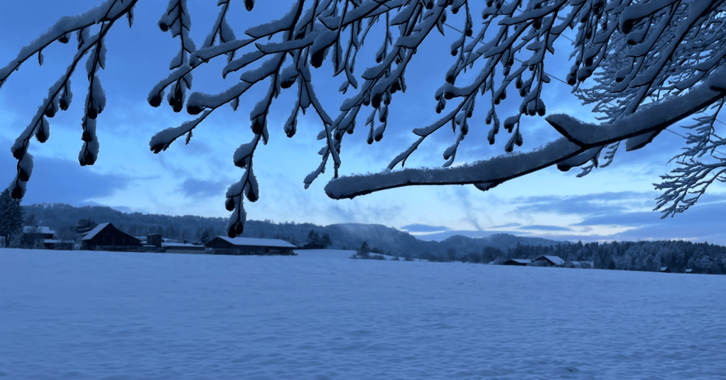 The Feedback Anxiety