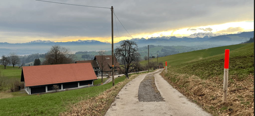 More Joy in Roaming the&nbsp;World